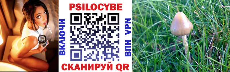 Галлюциногенные грибы мицелий Дивногорск