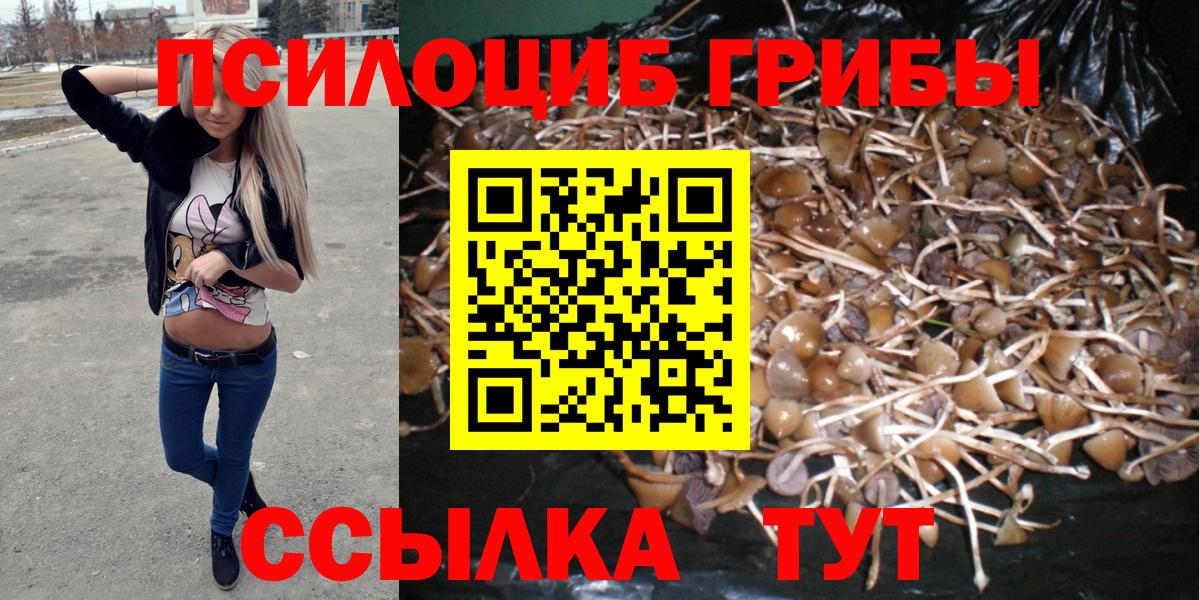 Галлюциногенные грибы мухоморы  Галлюциногенные грибы прущие грибы  Дивногорск  Вход с VPN 